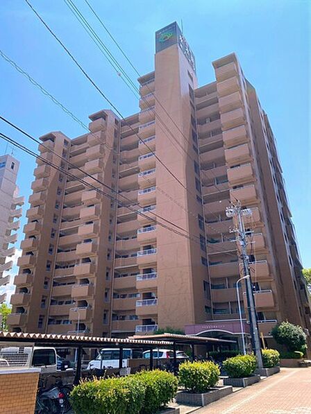 2026年8月撮影