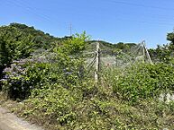 愛媛県西条市早川：物件画像