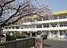 その他：【小学校】泉川小学校まで1036ｍ