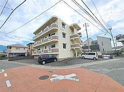 ジョイ・グリーン