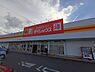 その他：【ディスカウントショップ】ダイレックス　ついたち店まで2382ｍ