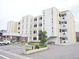 Y-FLAT（ワイ・フラット）