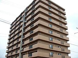 マリベール中須賀