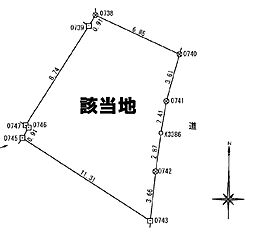 松山市立花
