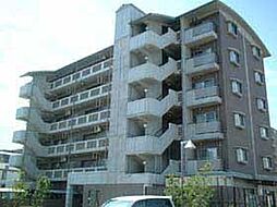 ｖｉｌｌａ　ｂｌｉｃｋ