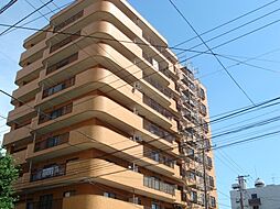 シャトーム本町の間取図画像