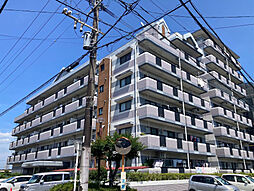 21コスモス宮崎