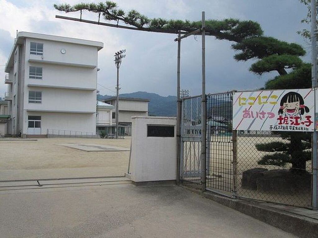 Image 51