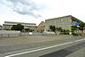 周辺：松山市立福音小学校 533m