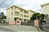 周辺：松山市立桑原小学校 654m