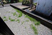 ちょっとしたお庭が付いてます♪ガーデニング等多目的に使えそうです。