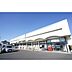 周辺：ドラックストア「カワチ薬品渡里店まで800ｍ」充実の品揃え