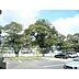 周辺：小学校「水戸市立石川小学校まで1025ｍ」水戸市立石川小学校