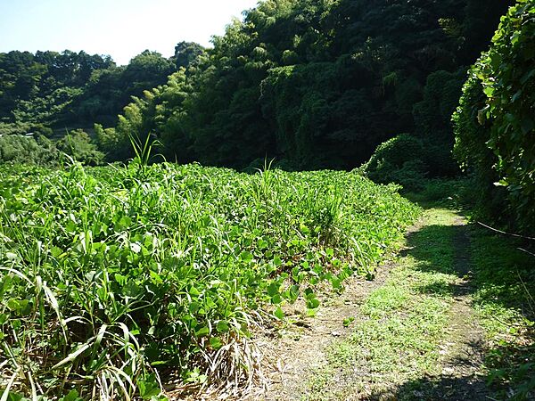 その他を拡大表示