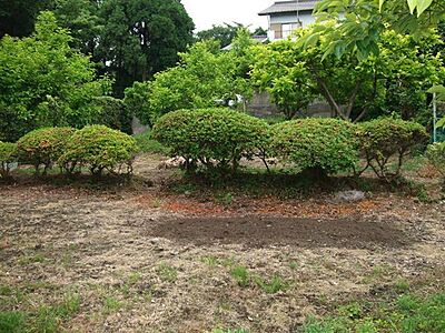 外観:地勢は平坦、緩傾斜で構成されています 外観:地勢は平坦、緩傾斜で構成されています