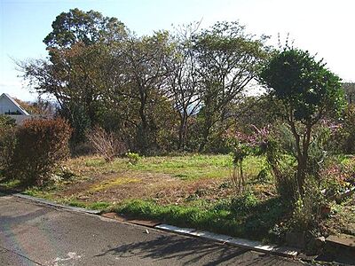 外観：道路からほぼフラットに土地に入れます