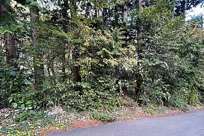 外観:閑静な住宅地エリアの広大な土地です 外観:閑静な住宅地エリアの広大な土地です