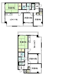 カーサ伊藤 3LDKの間取図画像
