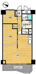 住吉カトレア