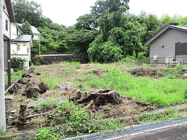 その他を拡大表示