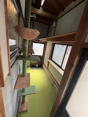 室内