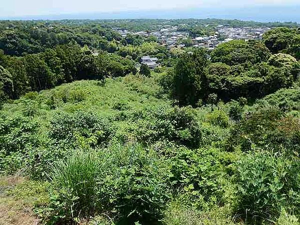 その他を拡大表示