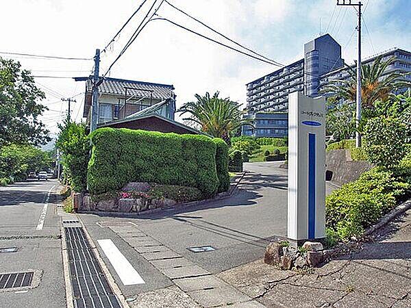 を拡大表示