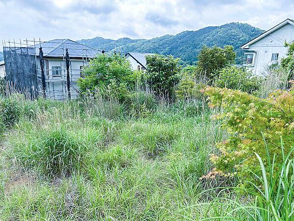 その他を拡大表示