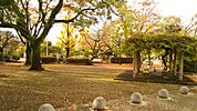 近隣の鷹匠公園