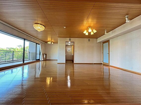 LDKは約25...