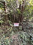 静岡県富士市大淵3977-2他：物件画像
