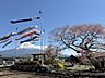 お土地近くの風景