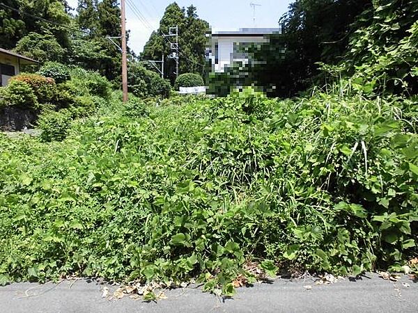 を拡大表示