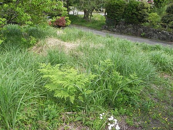 その他を拡大表示