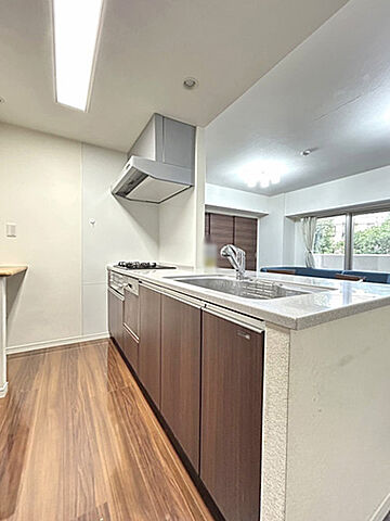 キッチン サンクレイドル新小岩親水公園II 2階/-