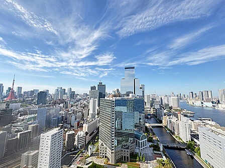 高層階のため東京タワー・増上寺・スカイツリーが望めます