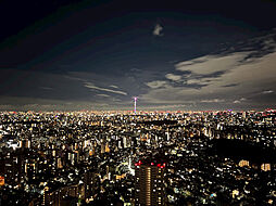 住戸からの眺望（2025年7月撮影）