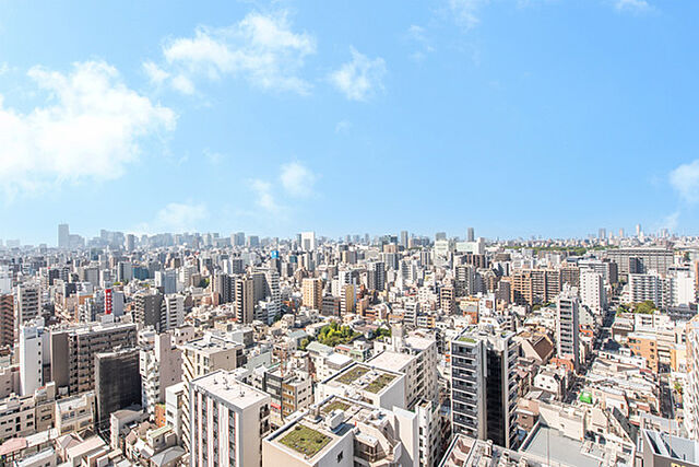 バルコニー 浅草タワー 20階/-