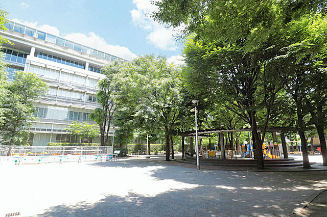 周辺 浅草ハイム 6階/-