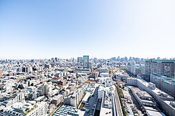 東京スカイツリーを望めます。（天候によります。）