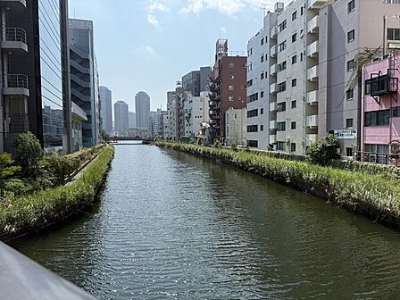 亀島川（約50m）