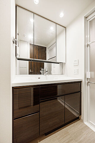 洗面 津田沼ザ・タワー 19階/-