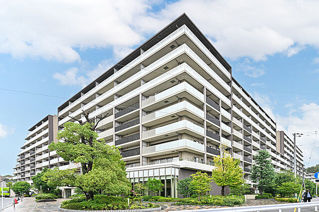 2 / 14