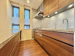 食器洗い乾燥機・ディスポーザー・浄水器付きシステムキッチン