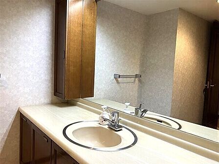 ※販売対象に家具・調度品は含まれません。広々として使い勝手の良い洗面カウンター。鏡の横やボウル下に収納スペース付きです。