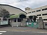 周辺：江波小学校（約500m）