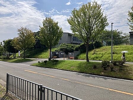 新檜尾台小学校(約400m)