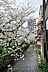 周辺：高瀬川（約50m）