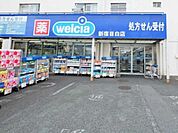 ウェルシア新宿目白店 1250m