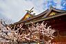 周辺： 湯島天神 1700m